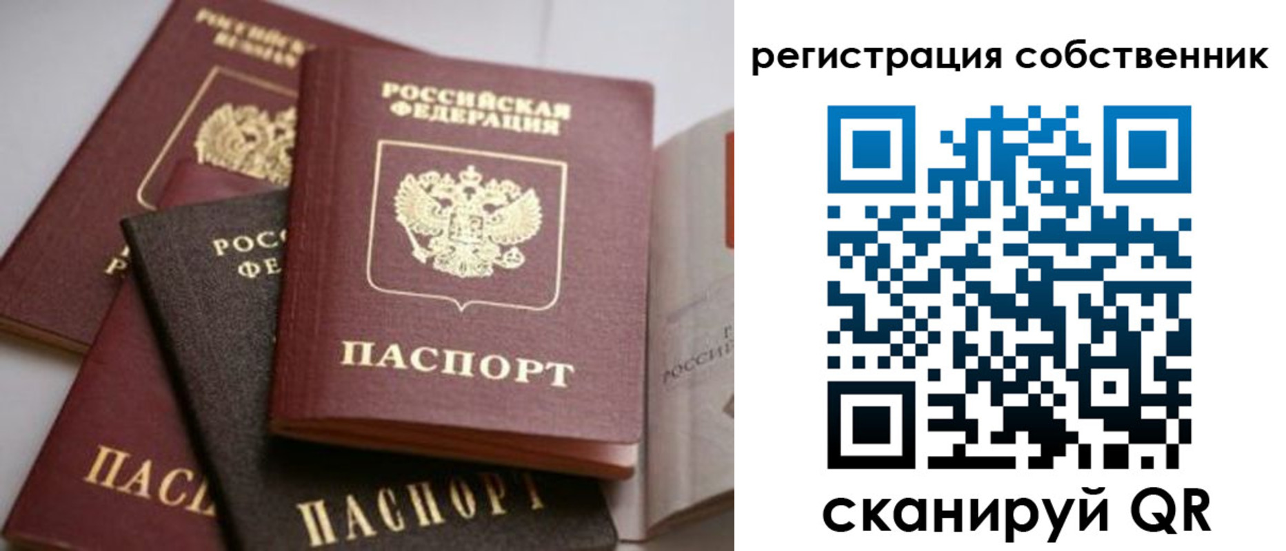 временная регистрация поиск в Тольятти